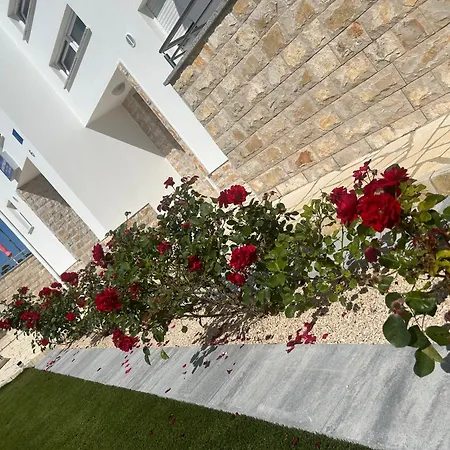 Nicole Wera Apartamento